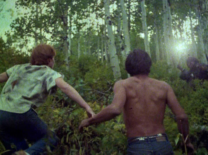 Don't Go In The Woods de James Bryan - 1981 / Survival - Slasher