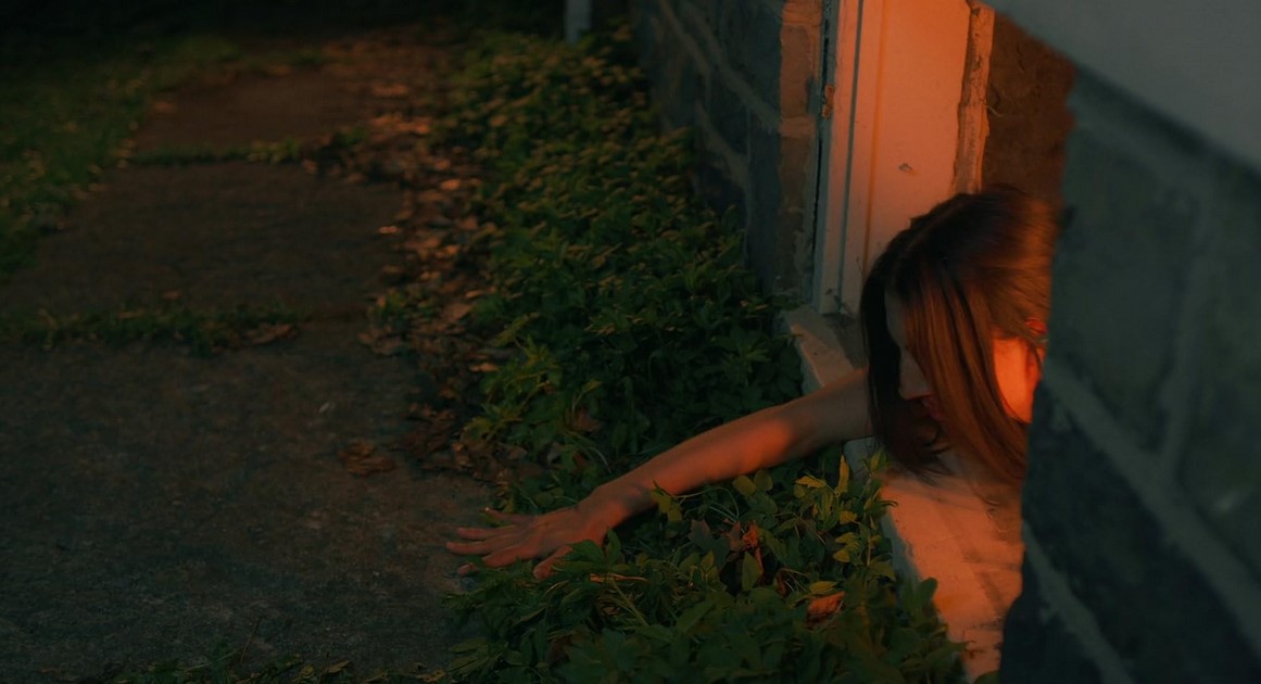 Stream (2024)