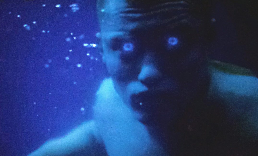 L'Île Aux Secrets (2017)