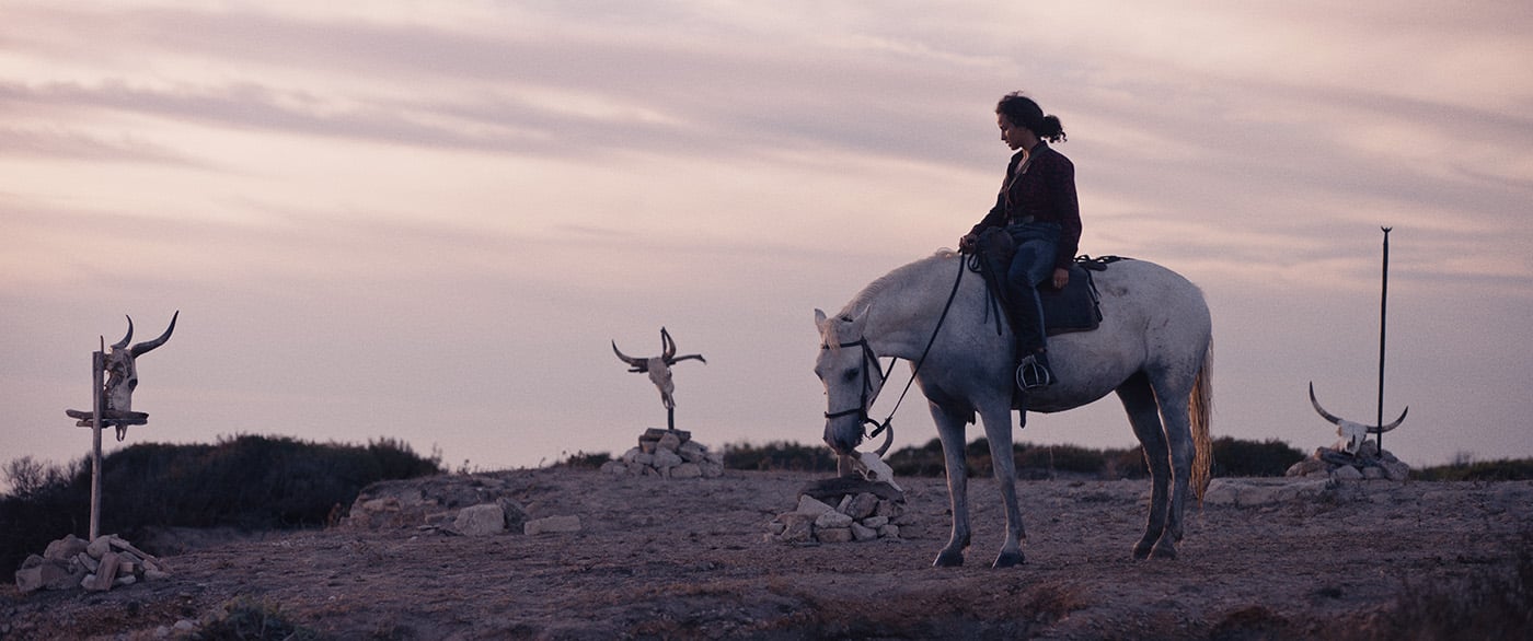 Animale (2024)