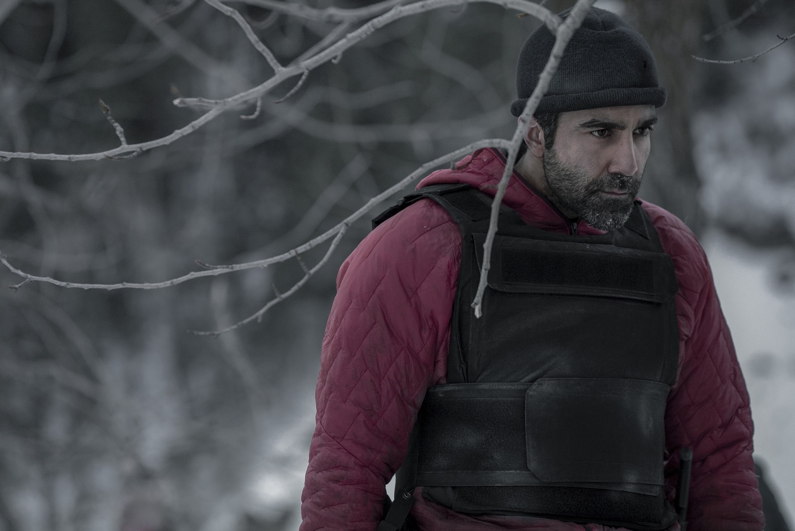 Black Summer - Saison 2