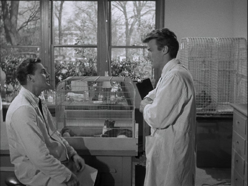 La Revanche De La Créature (1955)