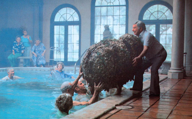 Cocoon de Ron Howard - 1985 / Science-Fiction