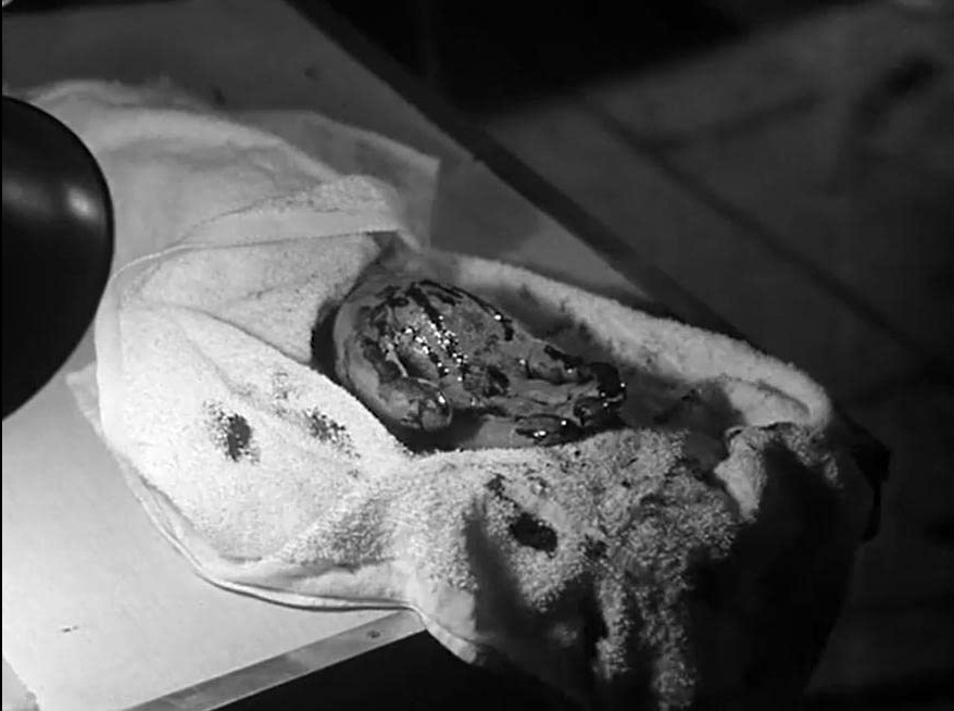  La Fille De Frankenstein (1958) 