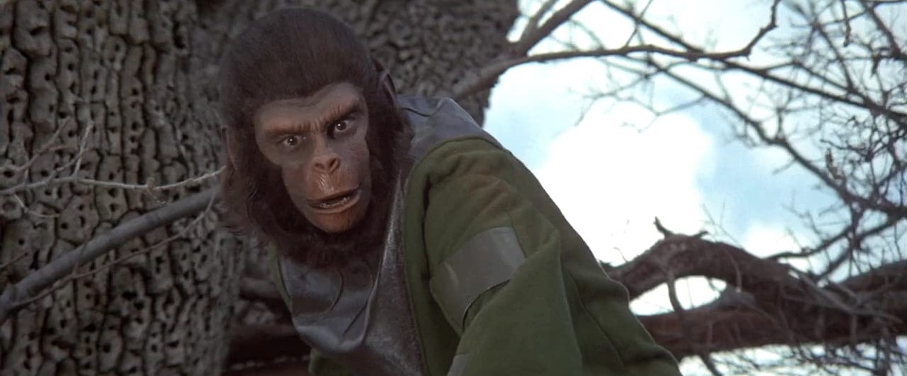 La Bataille De La Planète Des Singes (1973) 