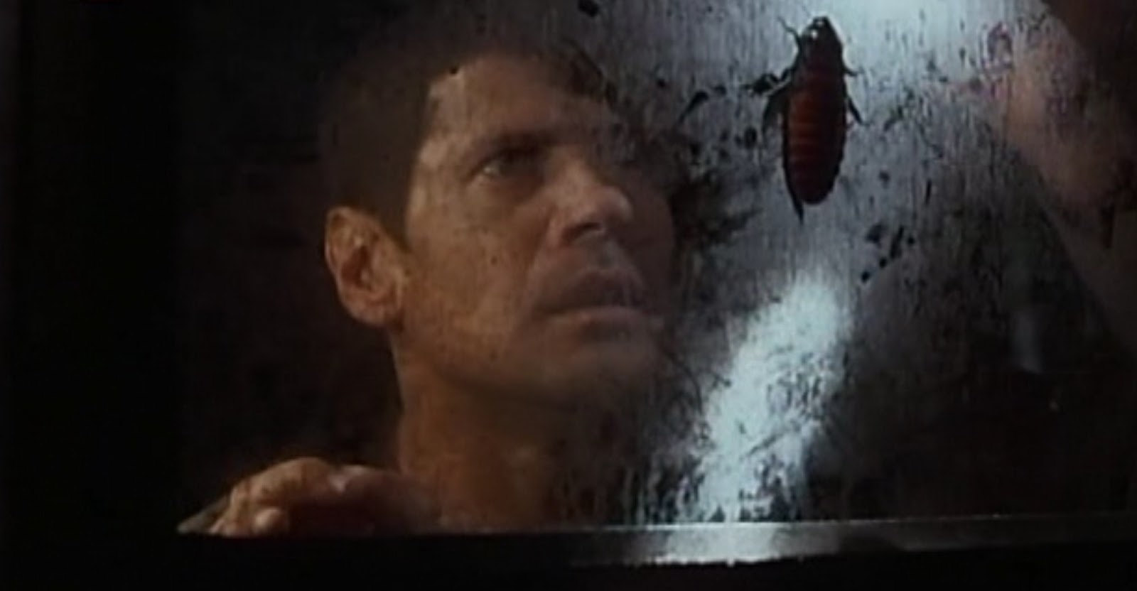 Eclosion (2000) 