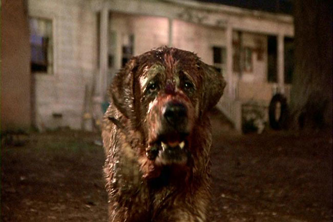 Cujo de Lewis Teague - 1983 / Fantastique - Horreur