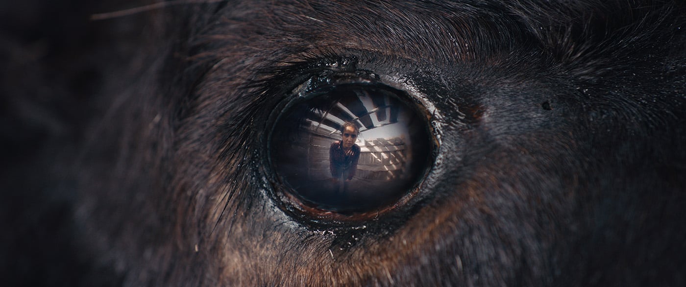 Animale (2024)