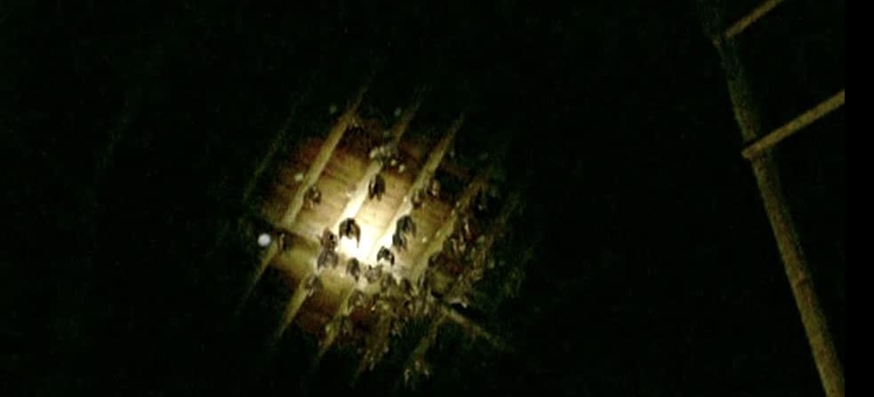 The Roost (2005) 