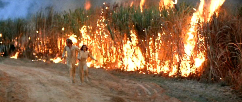Les Traqués De L'An 2000 (1982)