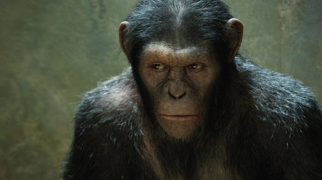 La Planète Des Singes - Les Origines (2011) 