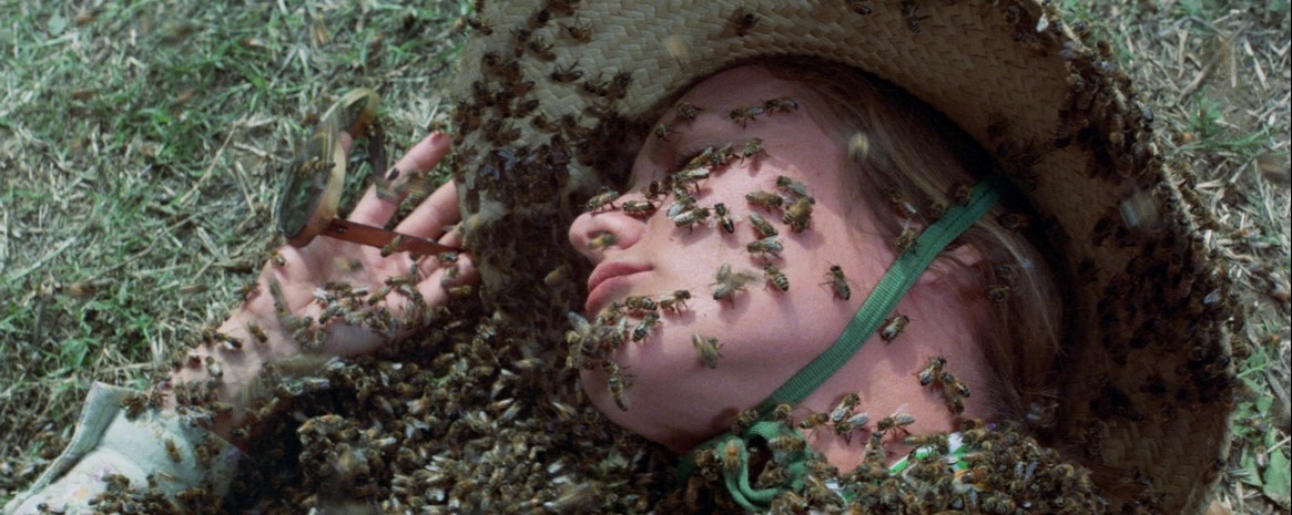 L'Inévitable Catastrophe (1978) 