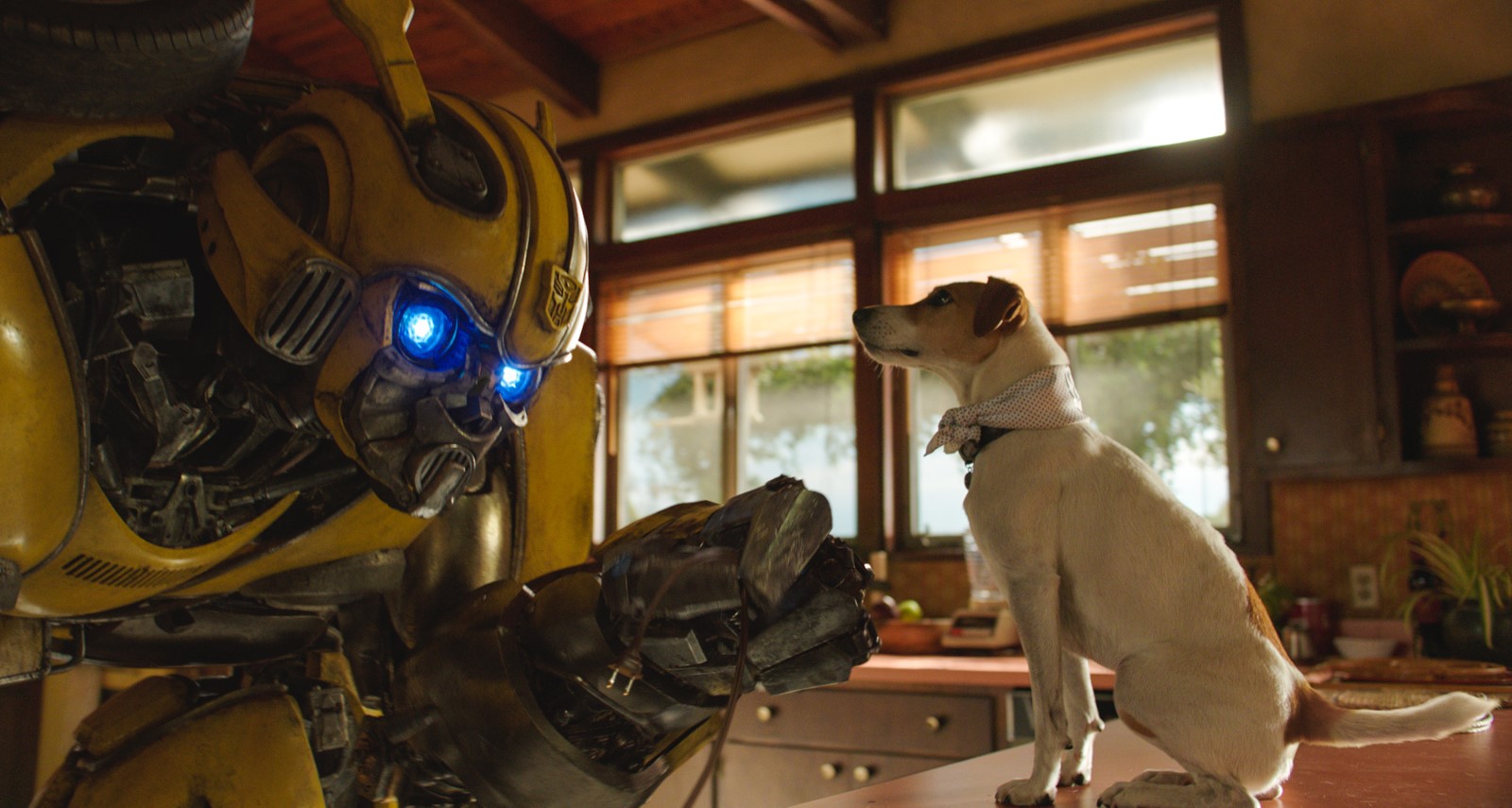 Bumblebee (2018)