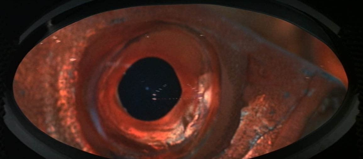 L'Odyssée Sous La Mer (1973) 