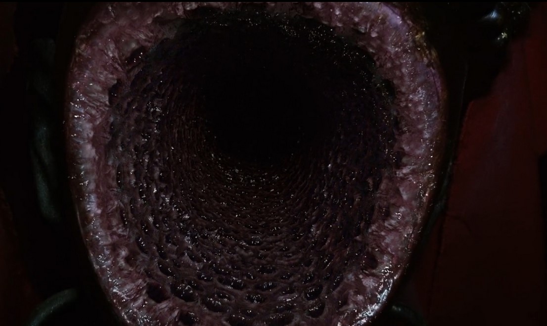 Incantation (2022) 