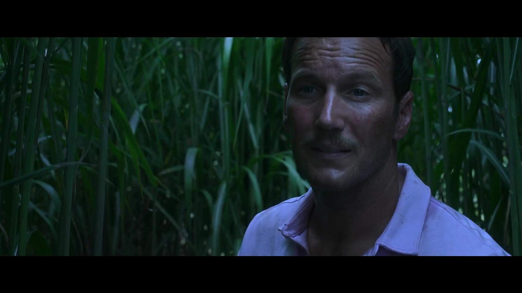 Dans Les Hautes Herbes (2019) 