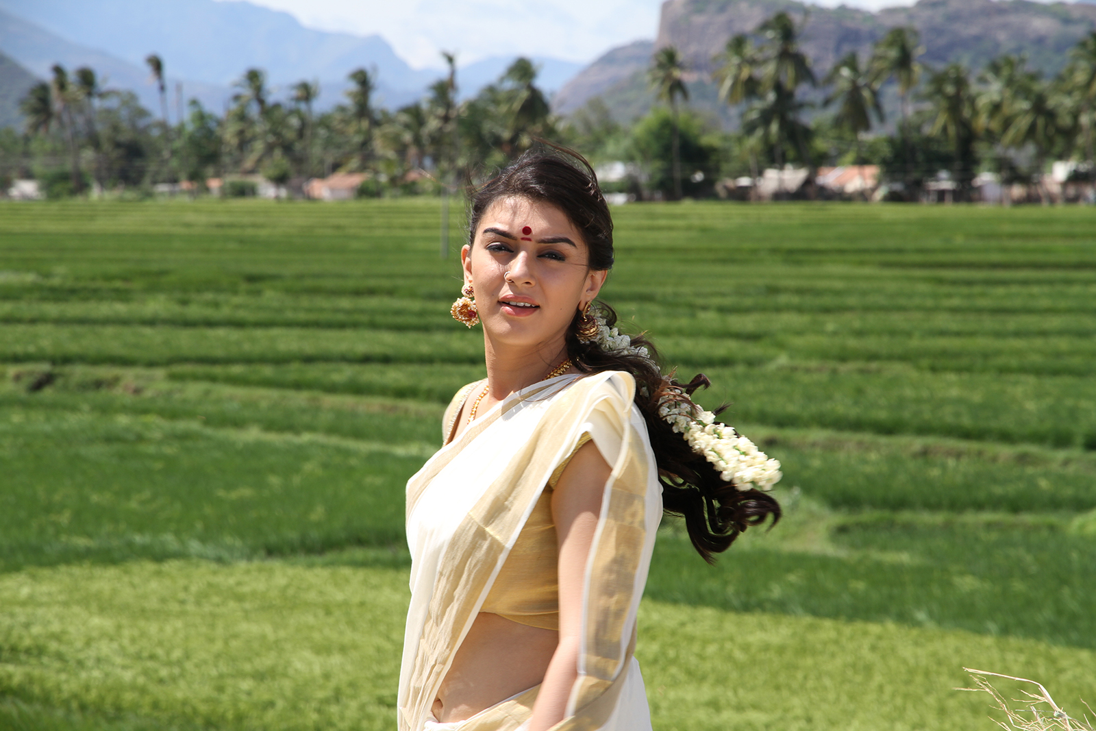 Aranmanai - Le Palais (2014)