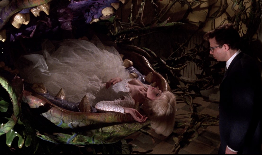 La Petite Boutique Des Horreurs (1986) 