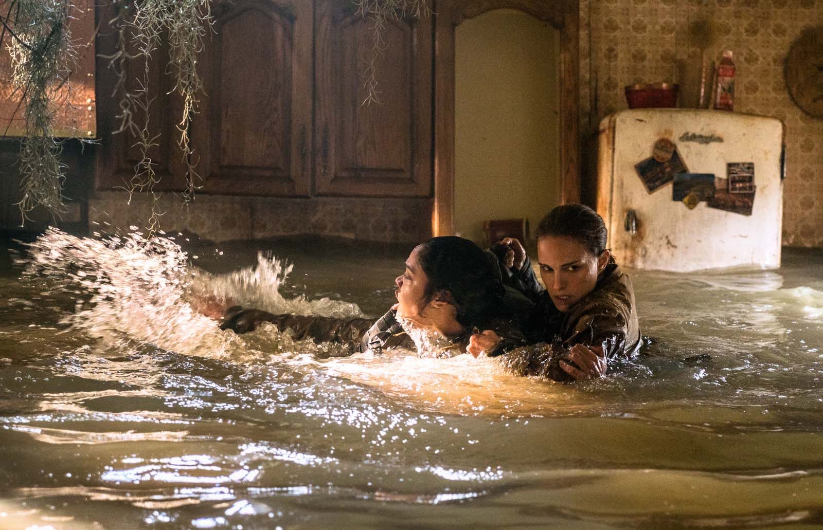 Annihilation (2018)