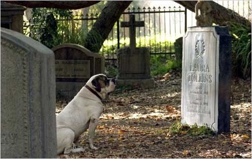 La Nombre 23 (2007) 