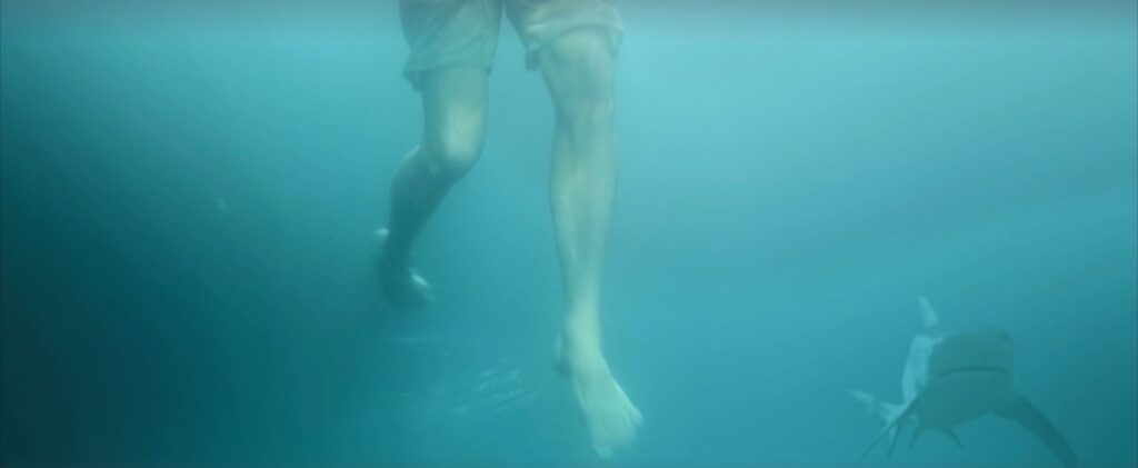 Swim (2021)