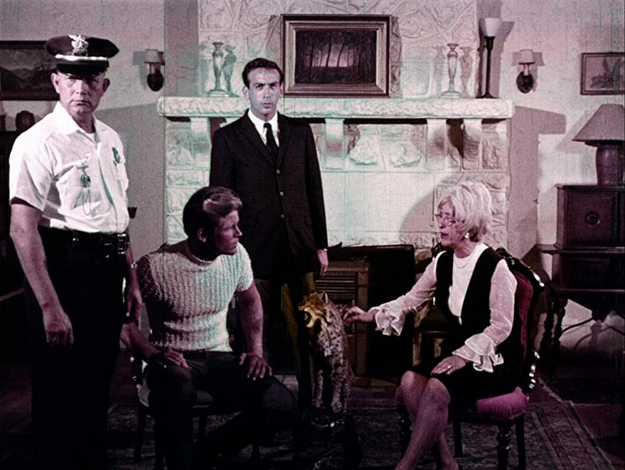  The Gruesome Twosome (1967) 