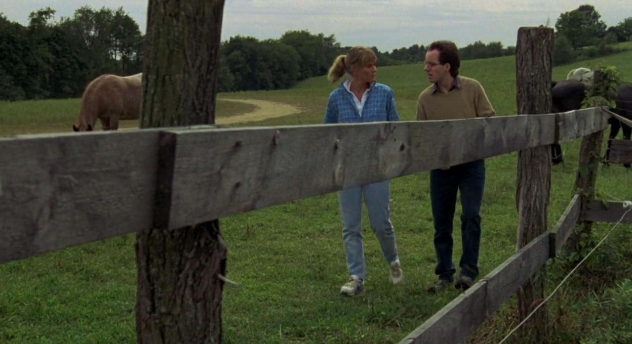 Incidents De Parcours (1988)