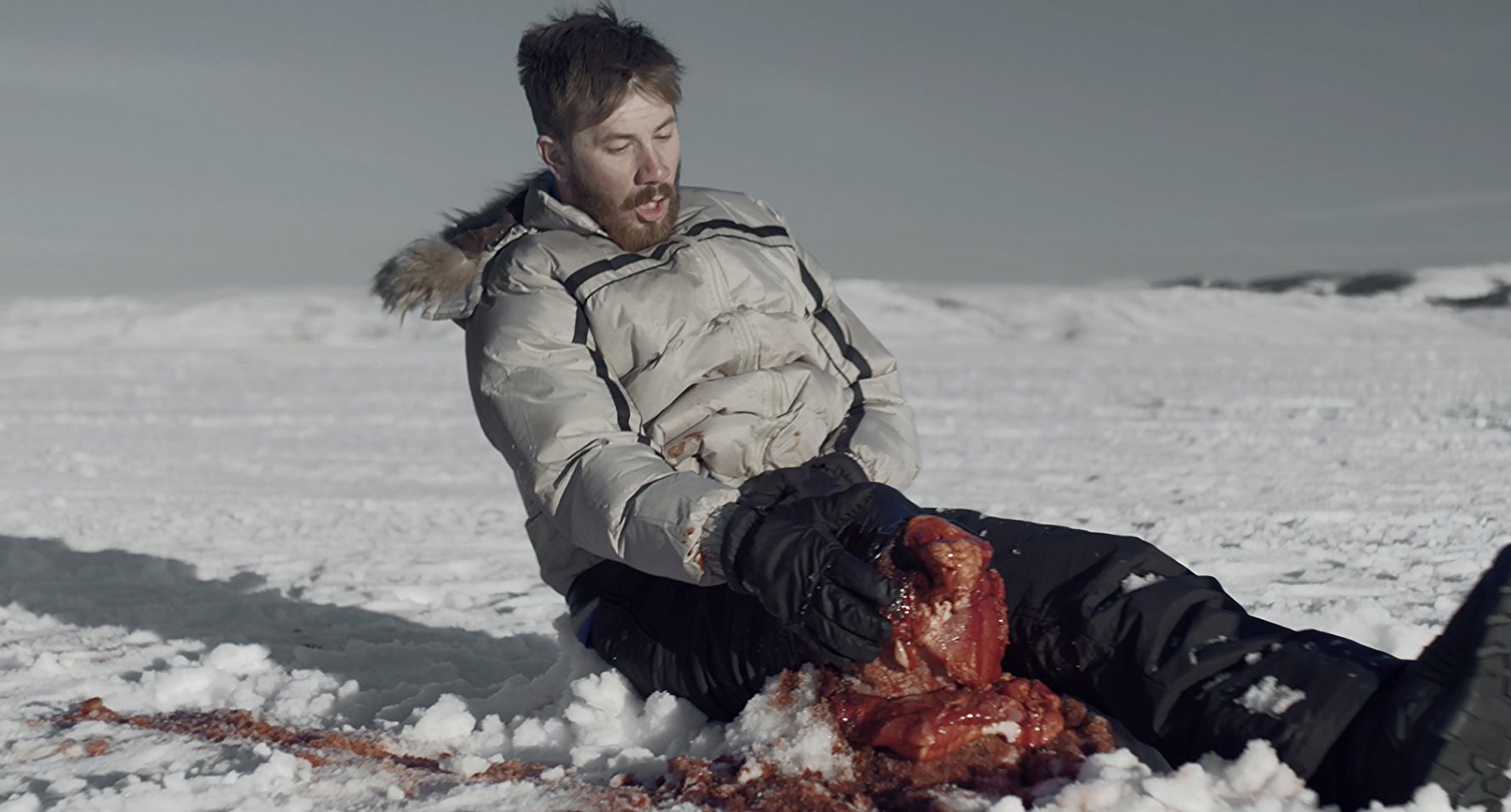 Ice Sharks - Requins Des Glaces