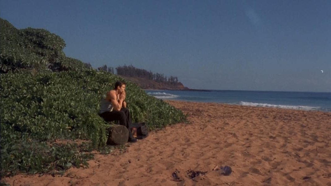 L'Île Des Komodos (2004) 