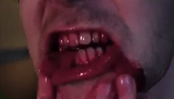 TrashHouse (2005)