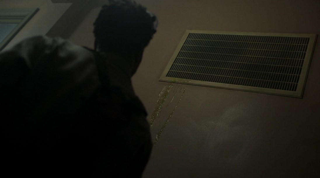 Sting (2024) 
