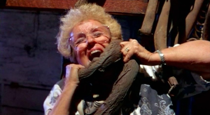 The Crawlers (1990)