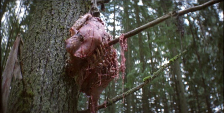 Bad Moon / Pleine Lune de Eric Red - 1996
