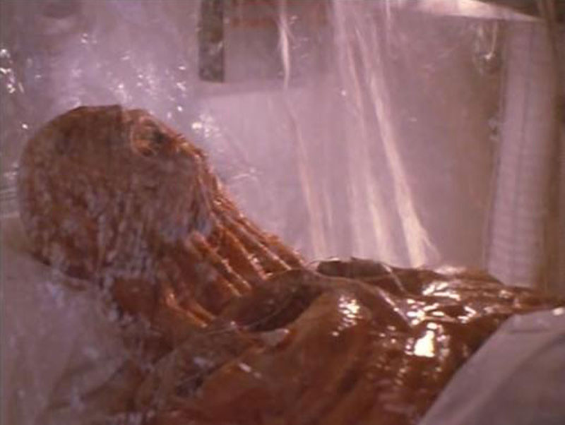 Metamorposis (1990) 
