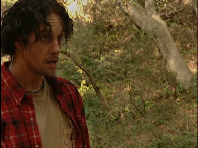 Cookers (2001)