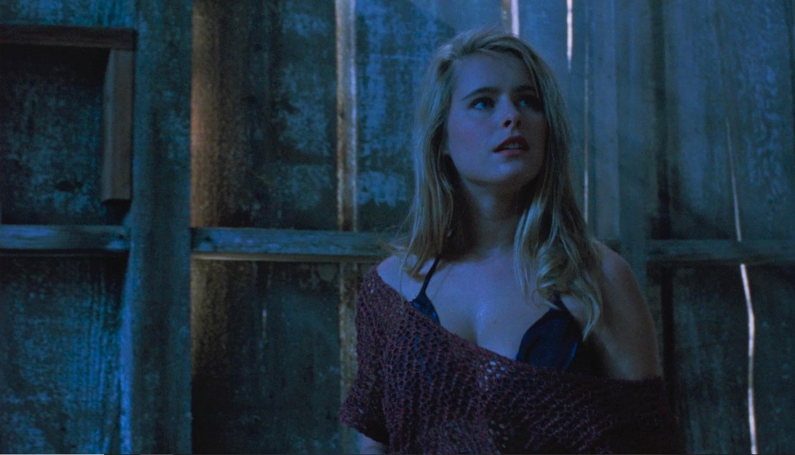 Ticks (1993)