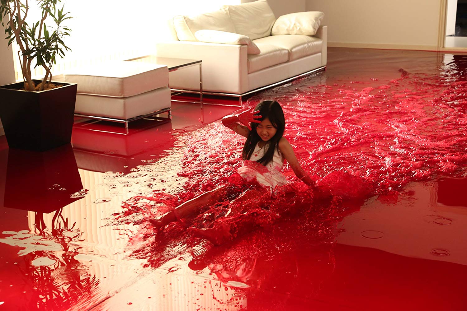 Why Don't You Play In Hell ? (2013)