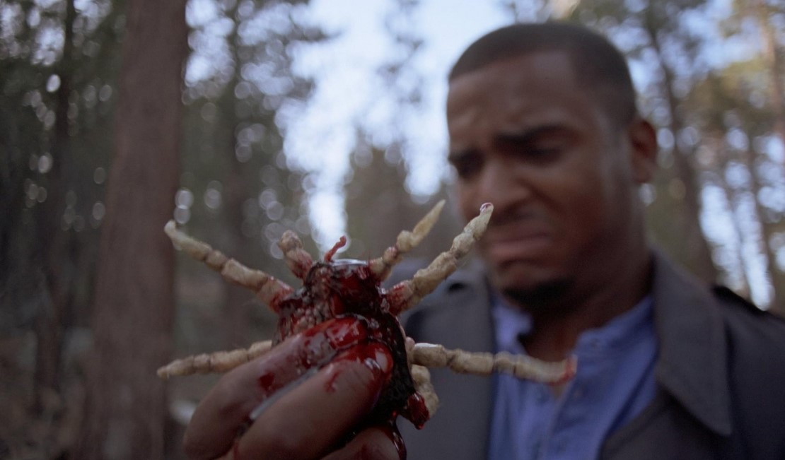 Ticks (1993)