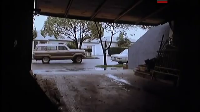 Le Monstre Attaque (1980)