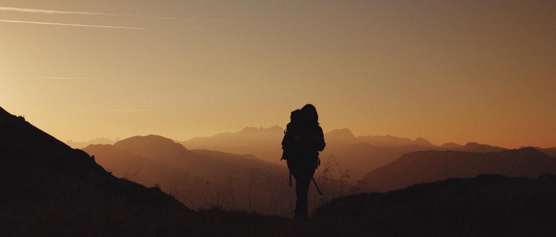 The Trail (2024) 