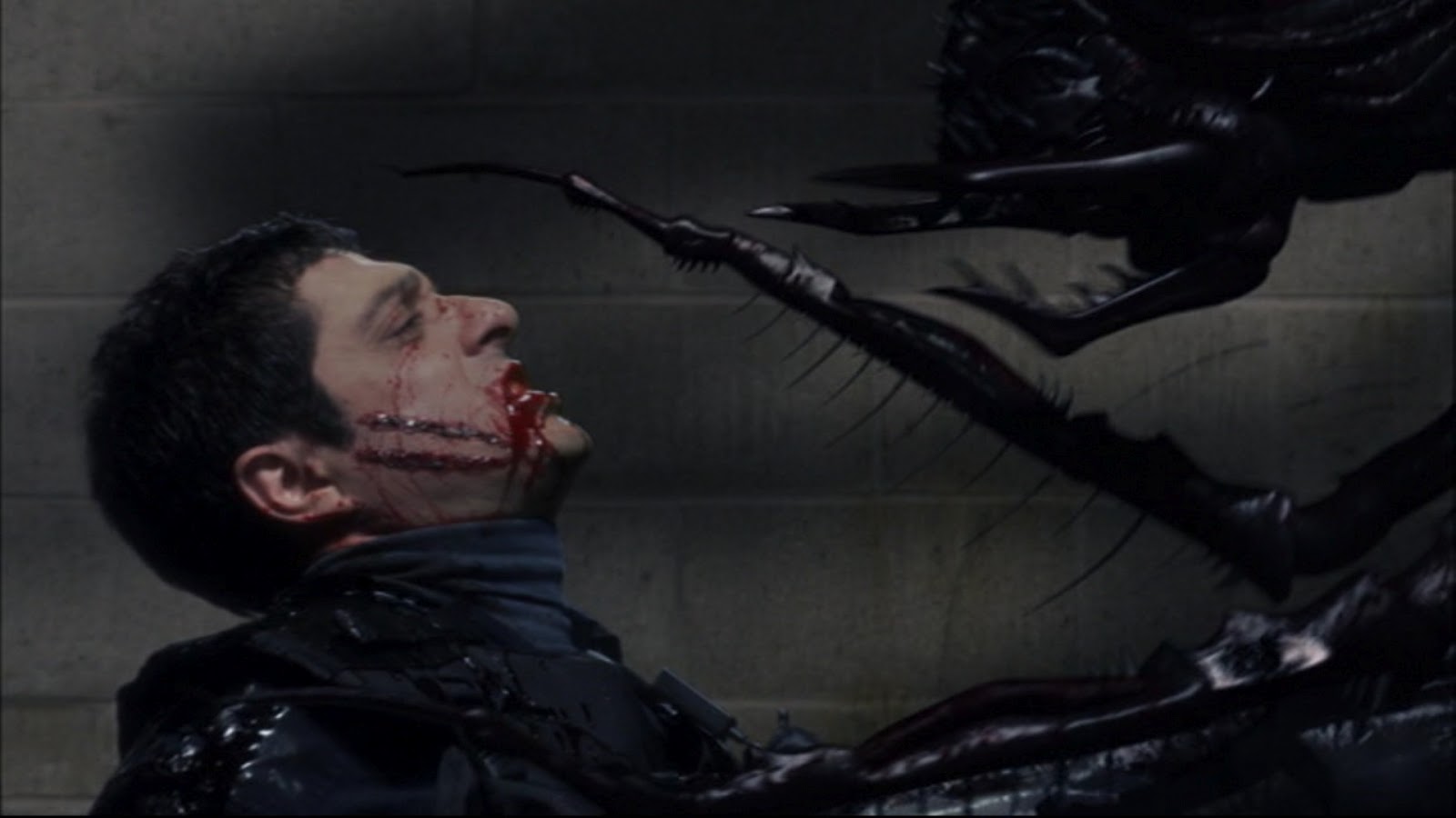 Bugs - 2003