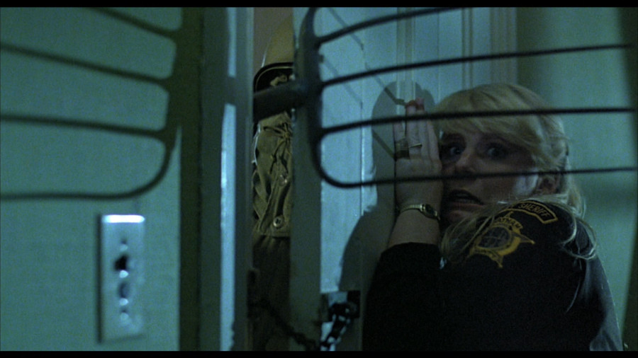 Rosemary's Killer (1981)