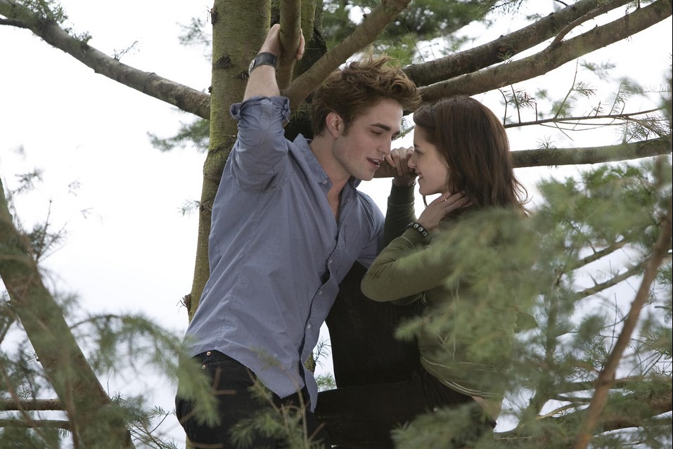 Twilight - Chapitre 1 : Fascination (2008)