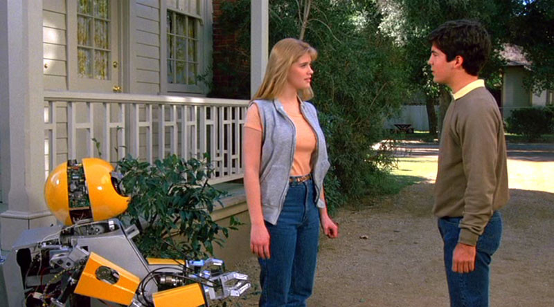 L'Amie Mortelle (1986)