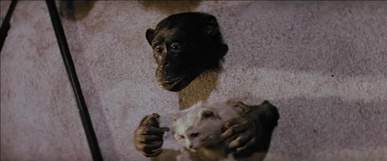  Les Griffes Du Démon (1972)