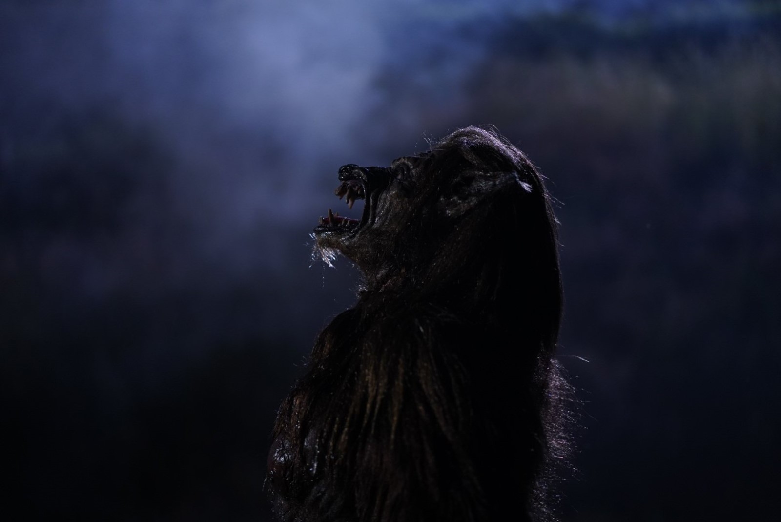 Les Chasseurs de La Nuit (2020)