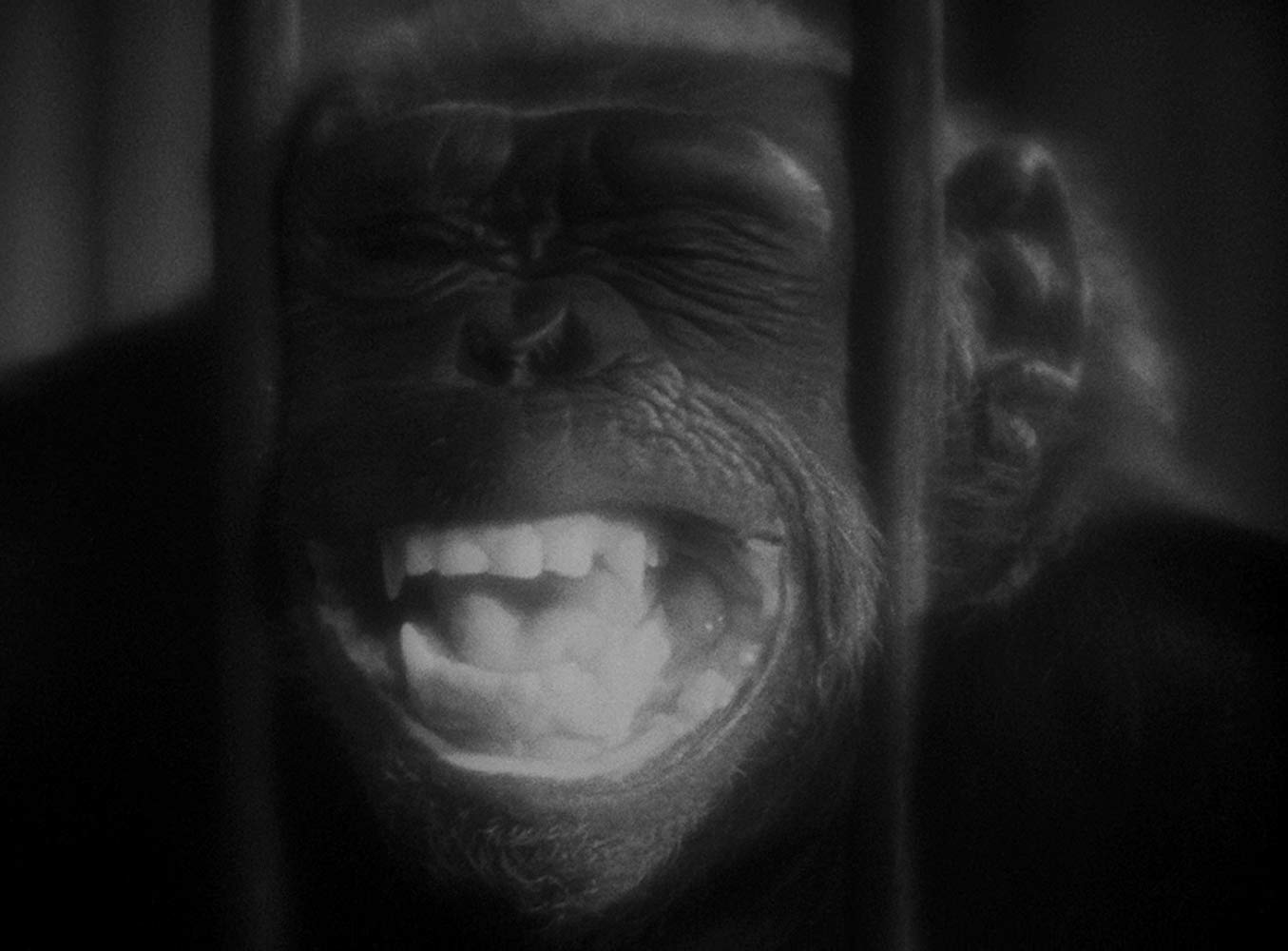 Double Assassinat Dans La Rue Morgue (1932)