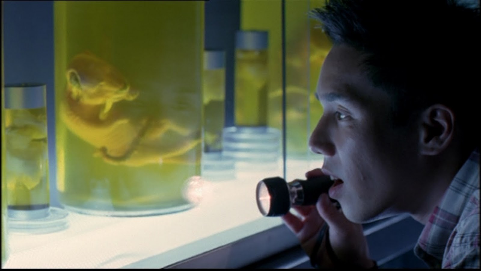 Les Dents De Sabre (2005)