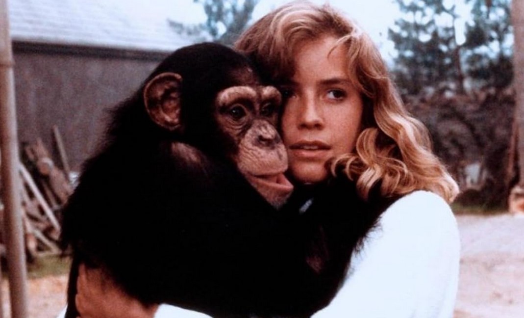 Link (1986) 