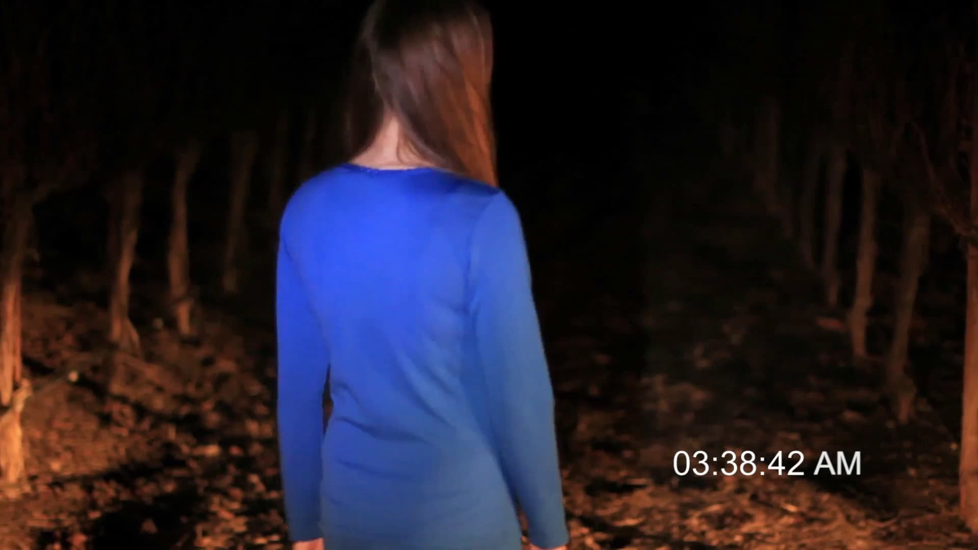 American Poltergeist 3 (2016)
